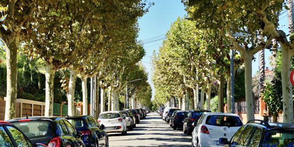 Tips-voor-parkeren-in-Palermo-een-gids-voor-toeristen